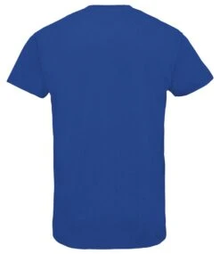 SOL's Imperial V Neck T Shirt -XAMAX 02940 roy back