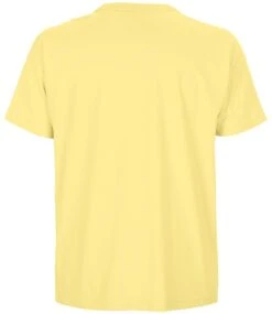 SOL's Boxy Oversized Organic T Shirt -XAMAX 03806 lyl back