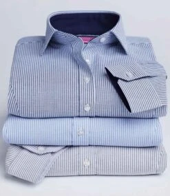 Brook Taverner Ladies Mirabel Long Sleeve Stretch Oxford Shirt 10 Brook Taverner Ladies Mirabel Long Sleeve Stretch Oxford Shirt -XAMAX 3cf5510490d3eb8c68c175282f3bc1713a49cb7df6fd05b50e26c4a291a5e1dd