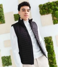 Regatta Honestly Made Recycled Thermal Bodywarmer 11 Regatta Honestly Made Recycled Thermal Bodywarmer -XAMAX 9d707ae9ec0077e9f43bcb65a012007caec8b67e970962627df0ad4e4d1fb3a2