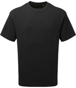 Anthem Organic Heavyweight T Shirt