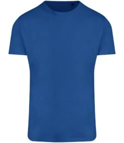 Ecologie By AWDis Ambaro Recycled Sports T Shirt -XAMAX ea004 roy front
