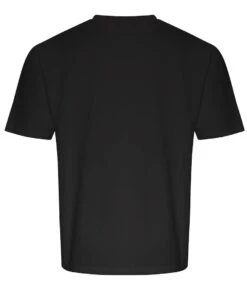 Ecologie By AWDis Arrow Recycled Heavy Oversize T Shirt -XAMAX ea006 blk back 4