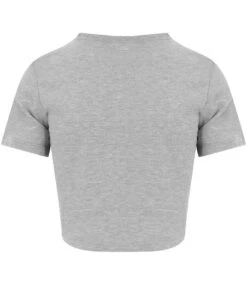 Just Ts AWDis Ladies Tri-blend Cropped T Shirt 29 Just Ts AWDis Ladies Tri-blend Cropped T Shirt -XAMAX jt006 hea back 1