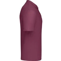 Fruit Of The Loom Original Polo -XAMAX ss229 bur left