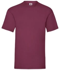 Fruit Of The Loom Mens Valueweight T Shirt 35 Fruit Of The Loom Mens Valueweight T Shirt -XAMAX ss6 bur front 4